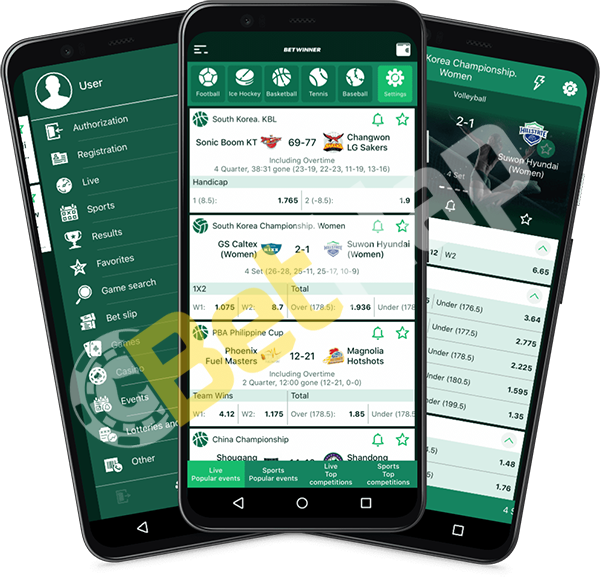 Descubra os Melhores Ofertas com BetWinner Bonos