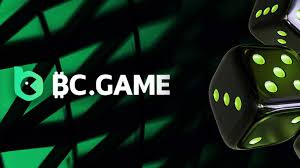 Exploring the Exciting World of BC.Game India 16