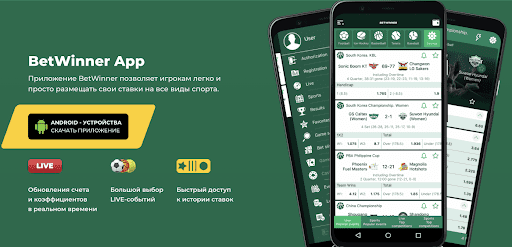 Discover the World of Baji 365 Your Ultimate Betting Destination